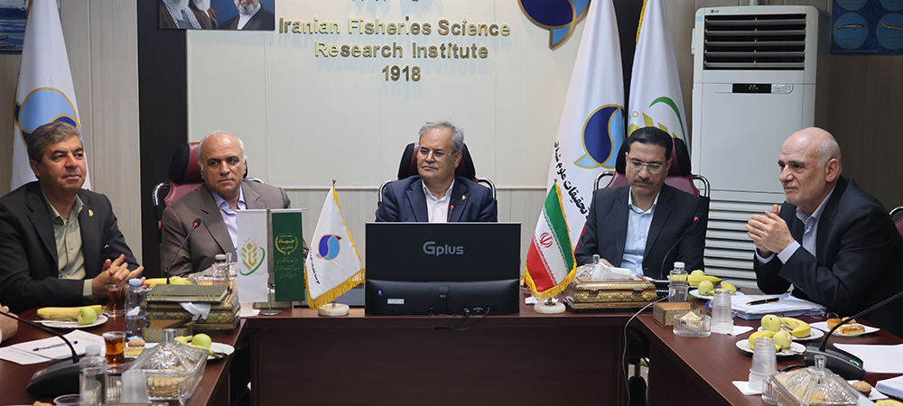 حرکت به سمت تحقیق برای توسعه کاربردی و اثربخشی بیشتر